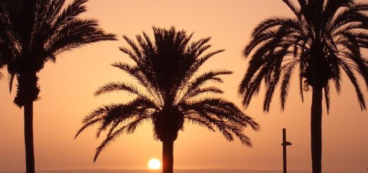 Sunset Algarve
